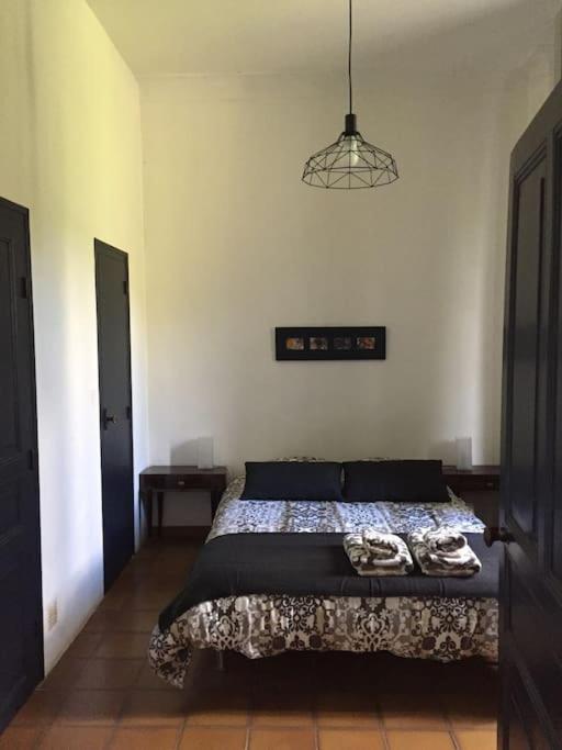 Grande Maison Familiale En Pierres Sud Ardeche Lalevade-dʼArdèche Extérieur photo